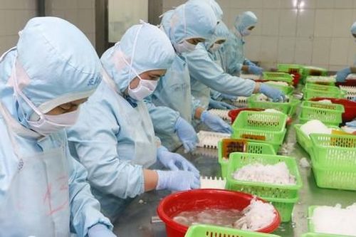 Thưởng Tết ở Cần Thơ: Cao nhất chỉ bằng một nửa năm ngoái