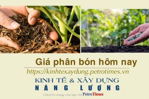 Giá phân bón hôm nay 23/12: Nhu cầu NPK tăng cao nhưng sức mua kém