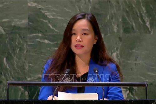 Phái đoàn thường trực Việt Nam tại LHQ kỷ niệm Ngày thành lập QĐND Việt Nam