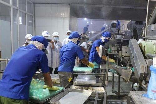 Gỡ điểm nghẽn để ngành surimi và bột cá sớm gia nhập câu lạc bộ tỉ USD