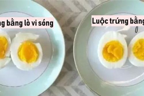 Luộc trứng bằng lò vi sóng, tưởng đùa nhưng hoàn toàn khả thi nếu các chị em làm theo cách đơn giản này