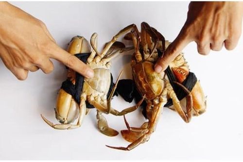 Bí quyết chọn cua biển ngon, biết mẹo này mua ở đâu cũng tìm được hàng chuẩn, không lo phí tiền