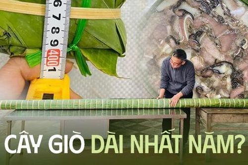 Xuất hiện cây giò xào dài 4m khiến nhiều người lầm tưởng là mẫu hàng trưng bày không bán