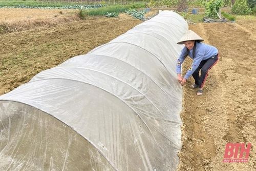Thanh Hóa rét đậm kéo dài đến ngày 26/12