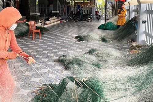 Bám biển vươn lên
