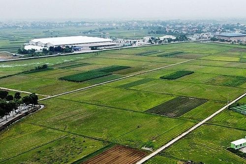 Thanh Hóa: Chấp thuận chủ trương đầu tư nhà máy giầy Bá Thước