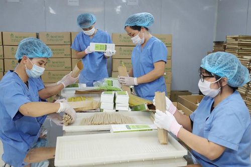 Sản xuất xanh cần thêm các cơ chế hỗ trợ, khuyến khích doanh nghiệp chuyển đổi mô hình