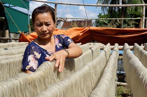 Điện Biên tập trung phát triển HTX giúp xóa đói giảm nghèo