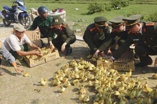 Giáo dân Quảng Bình thi đua sống tốt đời, đẹp đạo