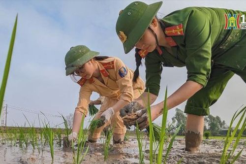 Nét đẹp công chức, viên chức Thủ đô qua ảnh