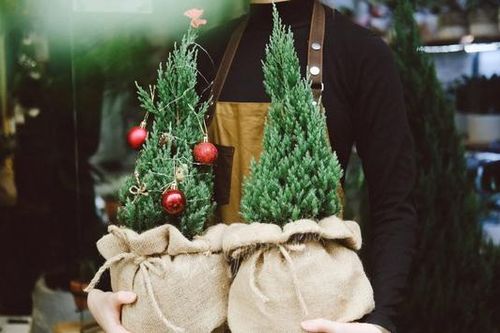 Quà tặng, đồ trang trí Giáng sinh giá bình dân hút khách