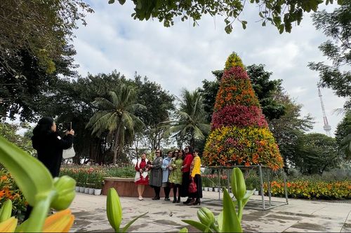 Cây thông Noel làm từ 2.000 cành hoa ly ở Hà Nội