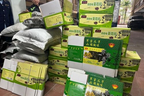 'Tóm gọn' nhiều thùng hướng dương nhập lậu 'suýt' được biến hóa thành hàng sản xuất tại Việt Nam