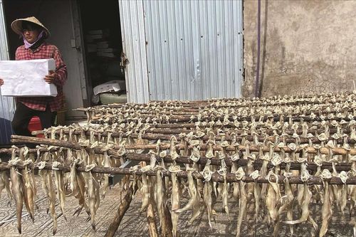 Độc đáo nghề làm khô cá khoai