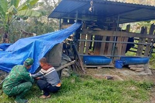 Đồn Biên phòng cửa khẩu quốc tế Nậm Cắn hỗ trợ người dân ứng phó giá rét cho vật nuôi