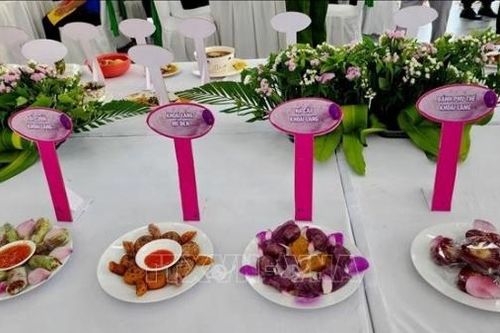 Xác lập kỷ lục Việt Nam với 100 món ăn chế biến từ khoai lang Bình Tân