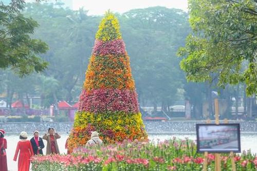 Cận cảnh cây thông Noel 'độc nhất' làm từ 2.000 cành hoa ly ở Hà Nội