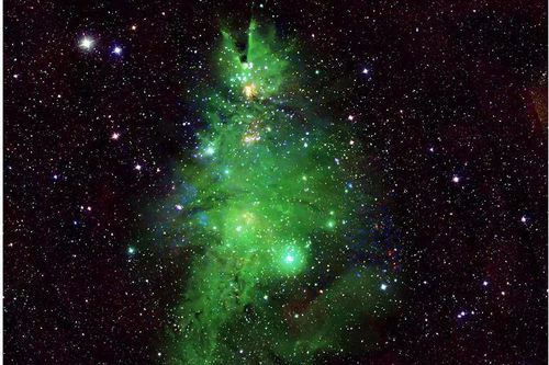 Chòm sao 'cây thông Noel' sáng lấp lánh trong vũ trụ
