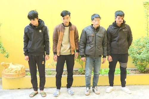 Bắt 4 đối tượng rủ nhau trộm cắp tại cửa hàng FPT