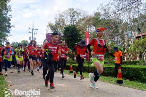 Hơn 800 vận động viên tham gia giải chạy Cat Tien Jungle Paths 2023