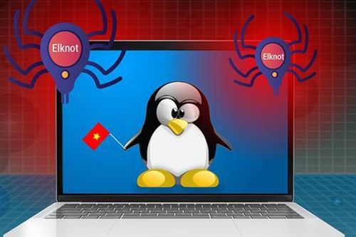 Cảnh báo xuất hiện nhiều biến thể virus Elknot