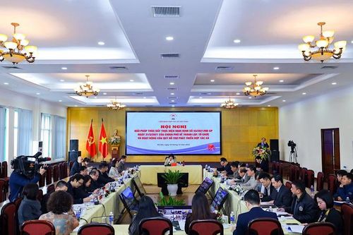 Thúc đẩy thành lập mới, sắp xếp lại các Quỹ hợp tác xã