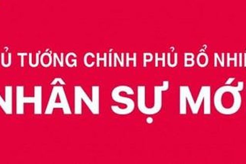 Thủ tướng Chính phủ bổ nhiệm lãnh đạo 3 cơ quan