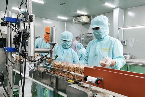 Định hình lại chuỗi cung ứng hạt điều toàn cầu