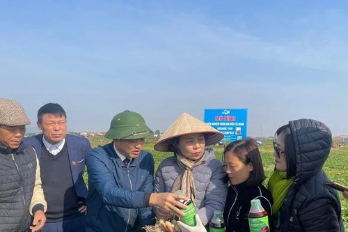 Phối hợp '3 nhà' để sản phẩm của nông dân được tiêu thụ hết