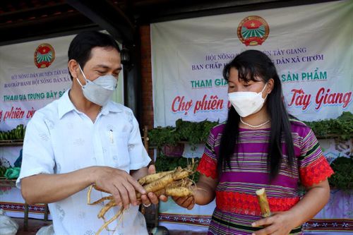 Nâng cao thu nhập nhờ liên kết kinh tế tập thể