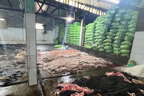 Phát hiện gần 4 tấn da bò không rõ nguồn gốc