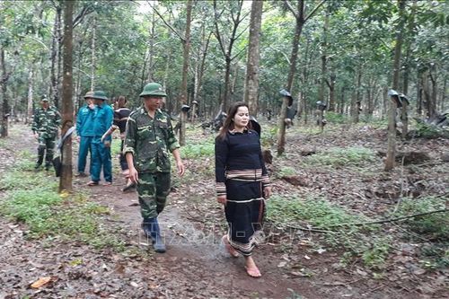 Đấu tranh hiệu quả với các loại tội phạm trên tuyến biên giới