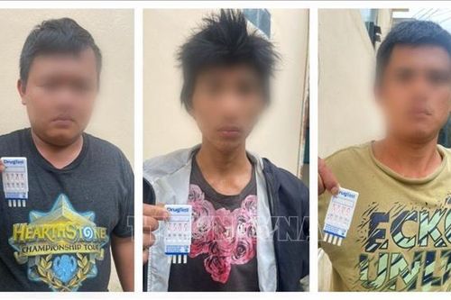 Bắt 3 đối tượng tàng trữ trái phép chất ma túy, thu giữ 1 khẩu súng