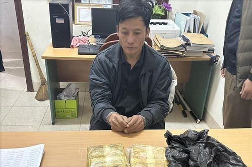 Bắt đối tượng mua bán, vận chuyển 12.000 viên ma túy tổng hợp