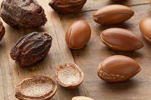 Loại hạt thoạt nhìn giống hạt mít nhưng lại đắt đỏ ví như 'vàng lỏng'