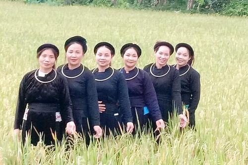 Vẻ đẹp văn hóa áo chàm của người dân tộc Tày