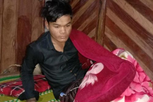 Trâu hoang tấn công khiến 2 người thương vong