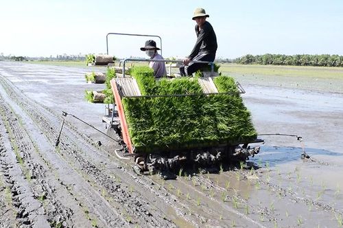 Chuyển biến tích cực trong tái cơ cấu nông nghiệp trên địa bàn tỉnh
