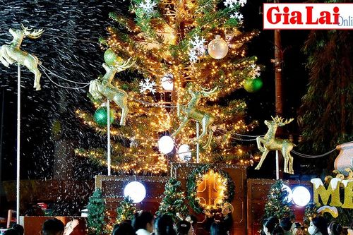 Gia Lai đón mùa Giáng sinh an lành, hạnh phúc