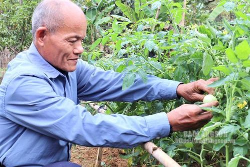 Hội viên nông dân làm giàu từ mô hình kinh tế tổng hợp