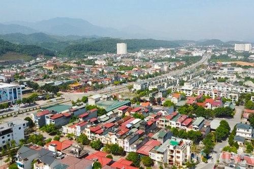 Từ ngày 26/12, vùng thấp Lào Cai ấm dần lên