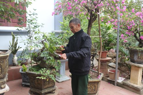 Giảm nghèo ở vùng đất ven đô