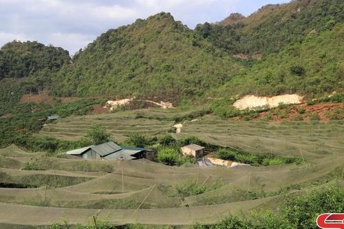 Mộc Châu chủ động phòng, chống thiên tai