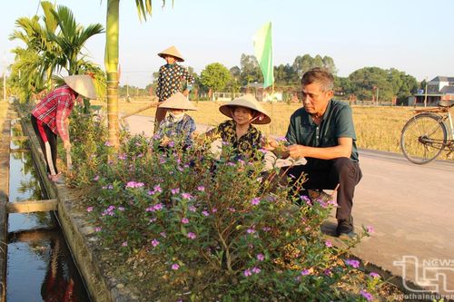 Người bí thư chi bộ 'nặng' việc làng