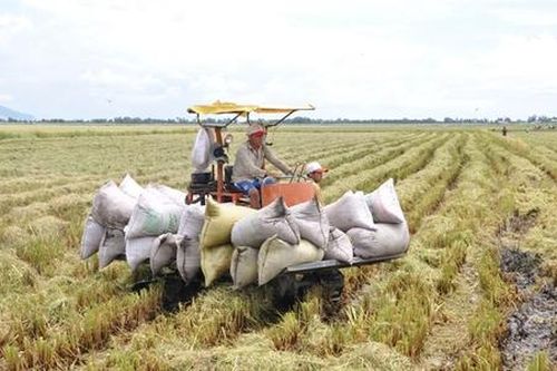 Hòn Đất tiếp sức cho người dân thoát nghèo