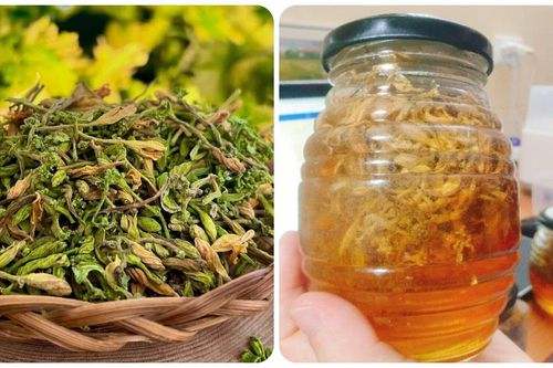 Tác dụng của hoa đu đủ đực ngâm mật ong với sức khỏe