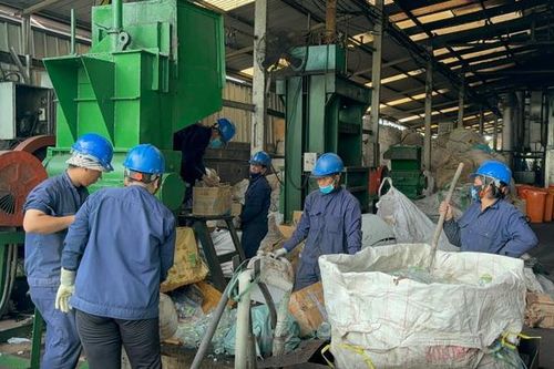 Tạm giữ gần 25 tấn nội tạng động vật đông lạnh không hạn sử dụng, không nguồn gốc