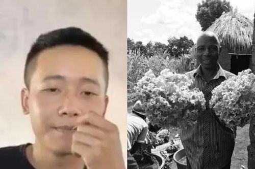Quang Linh Vlogs chia sẻ tin buồn, nói về lý do 'không có video'