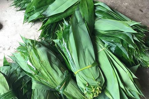 Biến lá cây thành tiền, người dân thu nhập ổn định