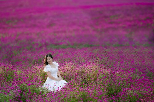 Khám phá thung lũng hoa đẹp như châu Âu giữa lòng Hà Nội